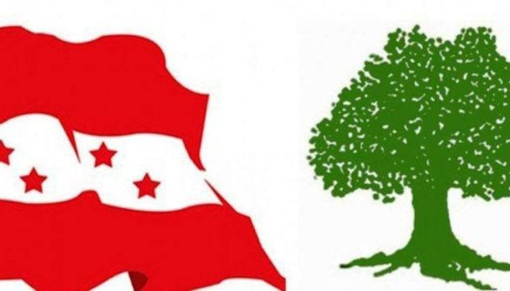 20220514082621_Nepali-Congress-flage-and-tree