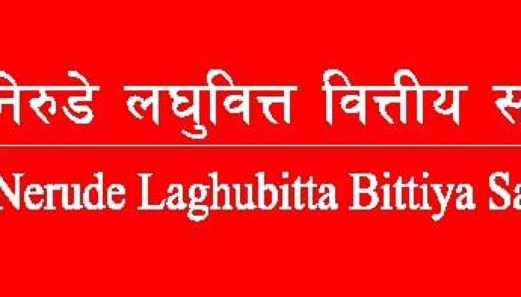 Nerude Laghubitta Bittiya Sanstha