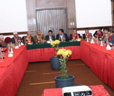 FNCCI holds interaction with newly appointed ambassadors (4)