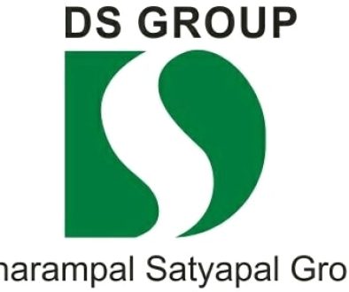 DS_Group_logo