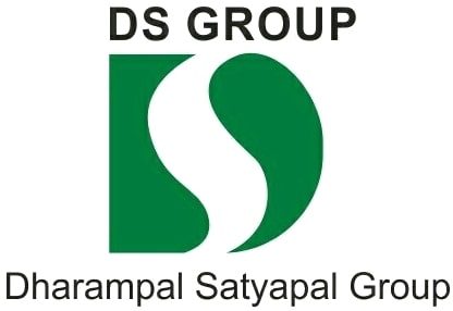 DS_Group_logo